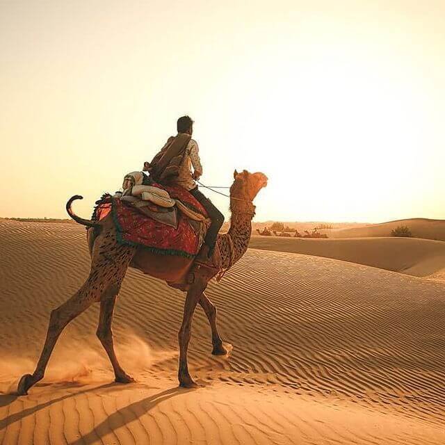 sunset camel safari